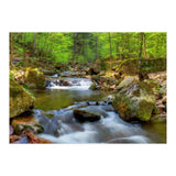 Spring At Harz Moutain (Print Only) thumbnail