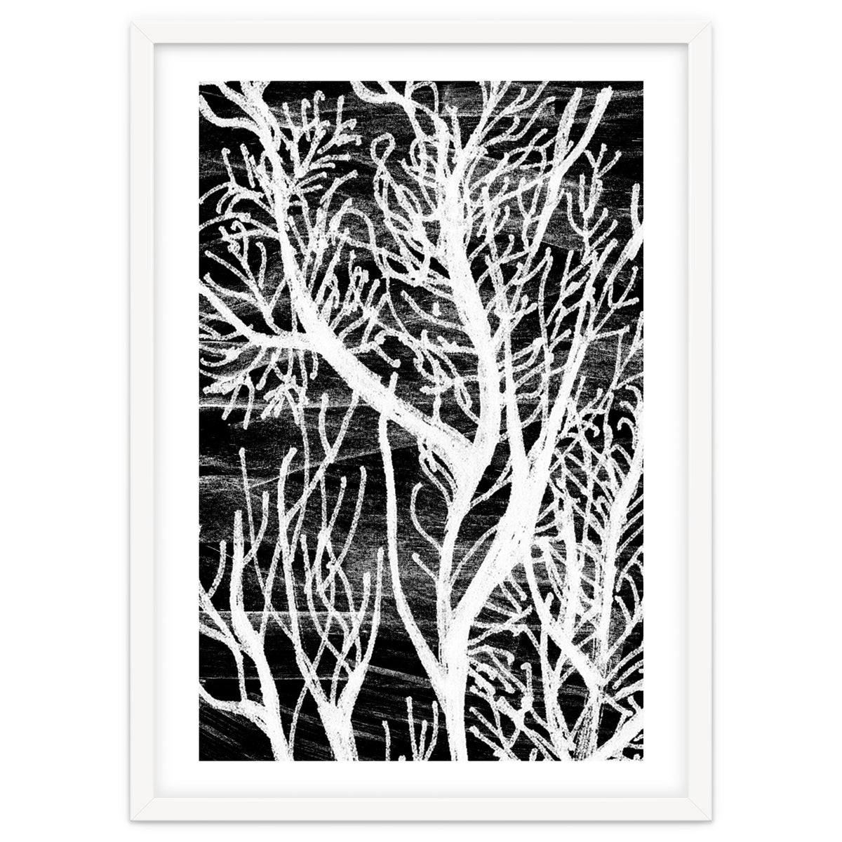 Desert Colours Collection 5