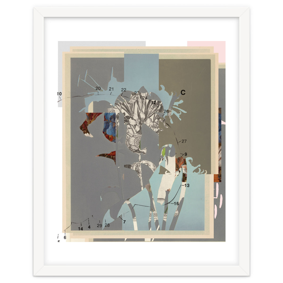 The First Plant · D