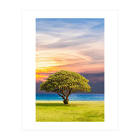 TREE with Great SKY (Print Only)