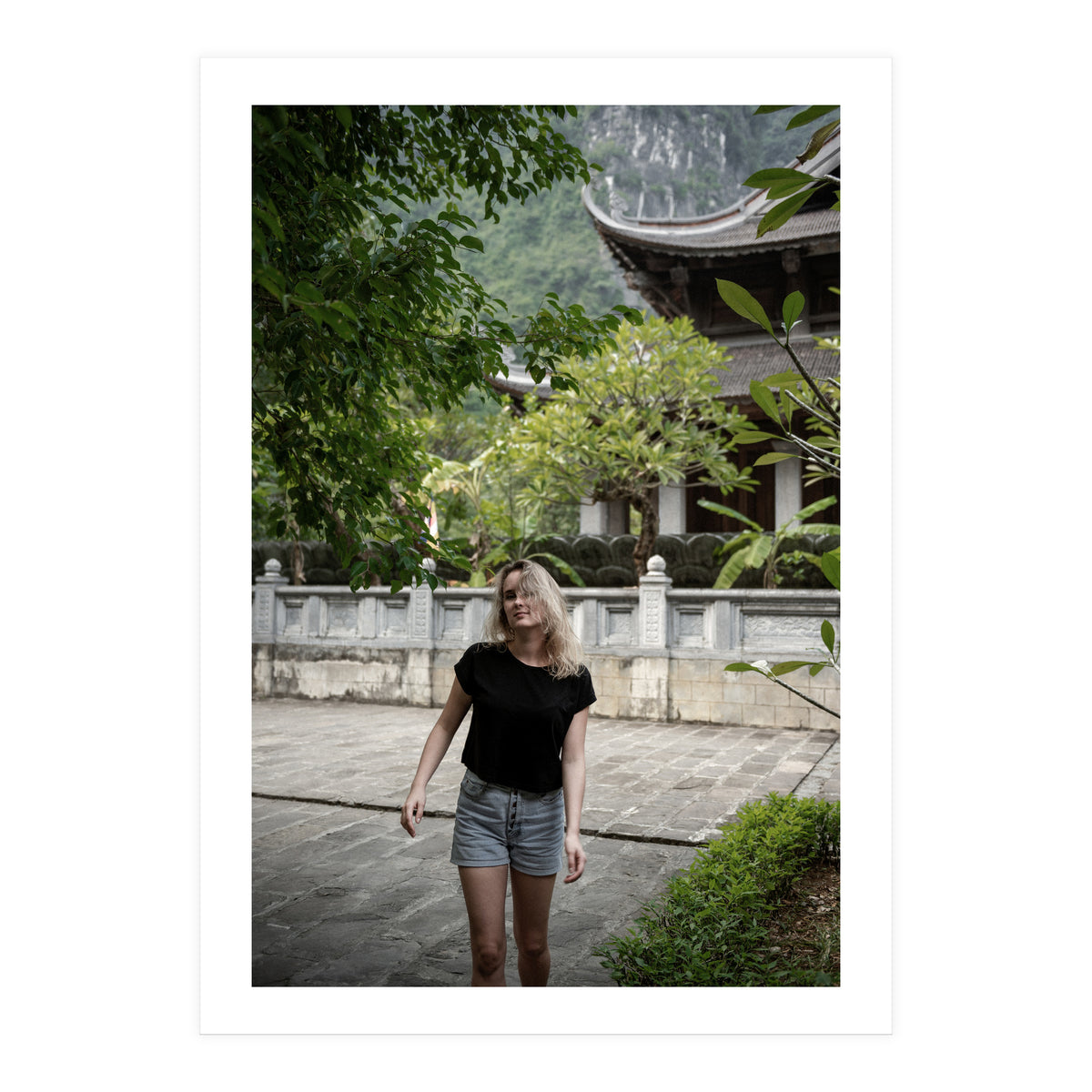 Vietnam Travel (Print Only)