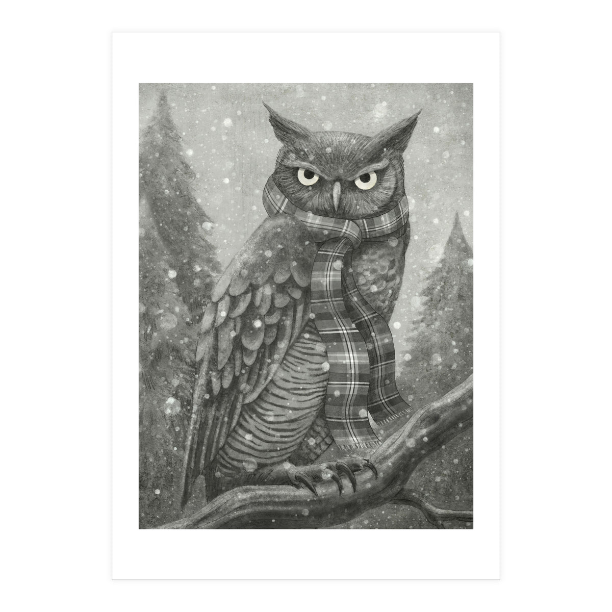 Winter Owl (Print Only)