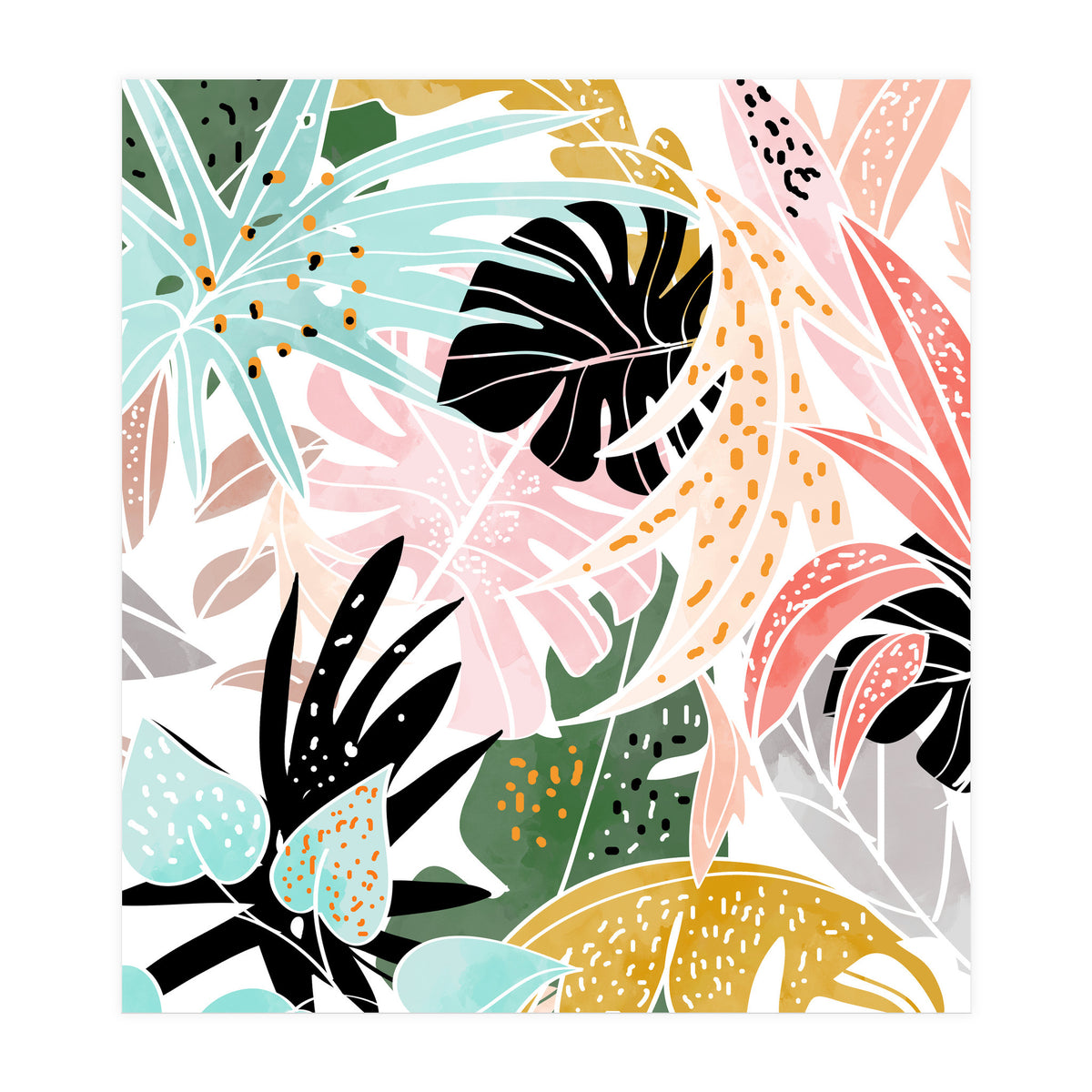 Veronica (Print Only)