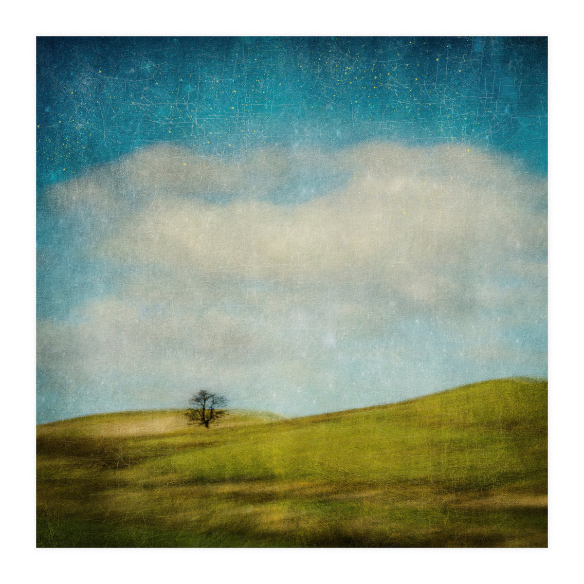 Strange Times (Print Only)