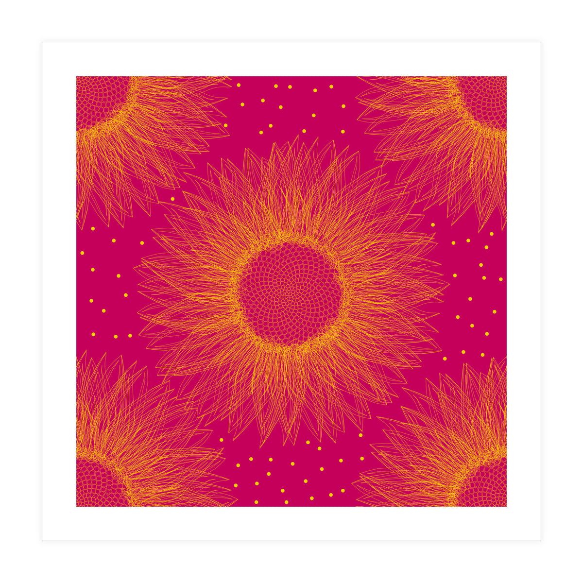 Sunflower (Print Only)