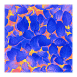 Supercontrast (Print Only) thumbnail