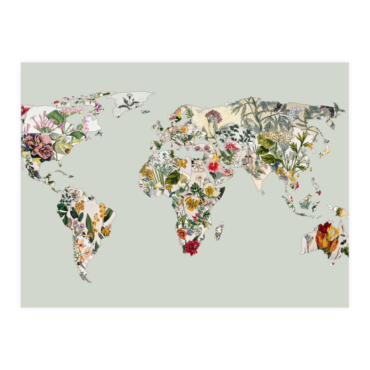 Vintage Botanical Map - Green (Print Only)