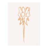 Flower 09 (Print Only) thumbnail