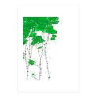 Birch forest (Print Only)