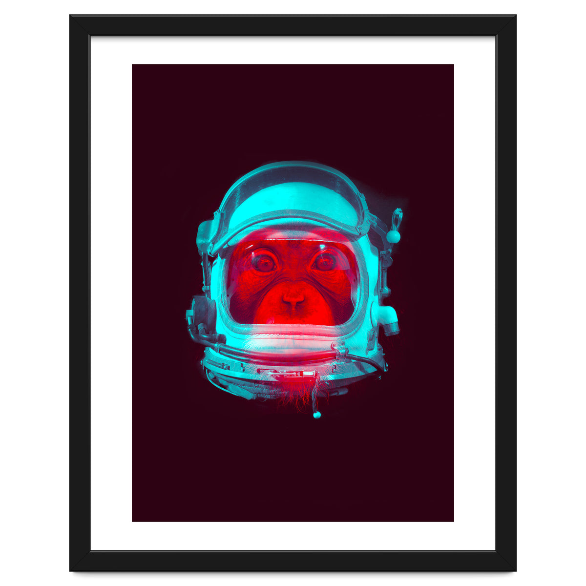 Astronaut