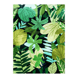 Rainforest Ii (Print Only) thumbnail