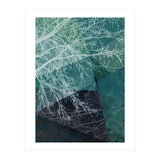 P19 E1 Trees And Triangles (Print Only) thumbnail