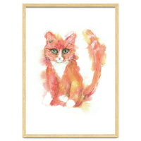 Orange tabby  cat