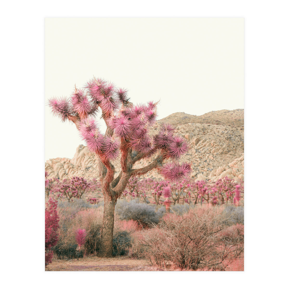Boho Joshua Tree Cactus (Print Only)
