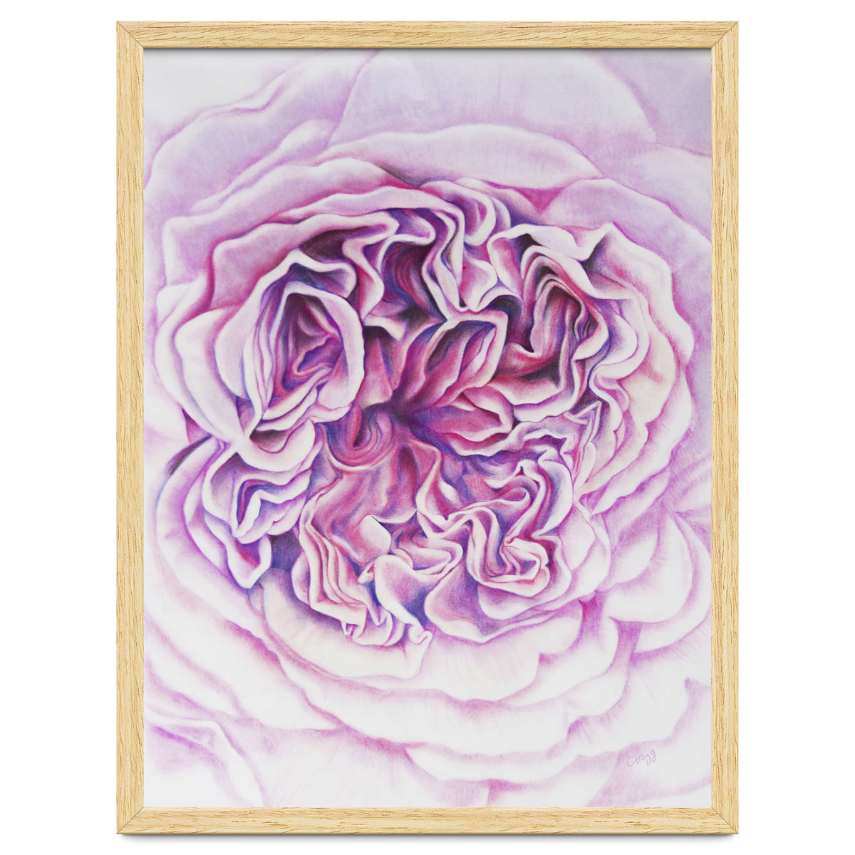 A Rose Is A Rose Std