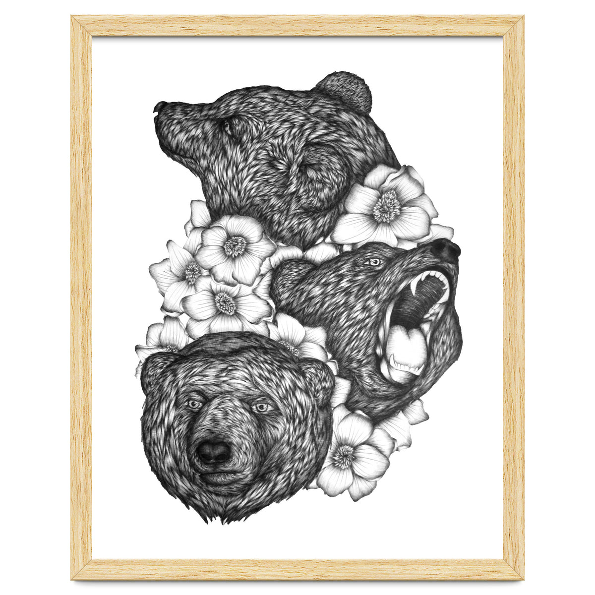 Bears In Bears