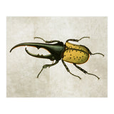 83 (Print Only) thumbnail