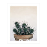 cactus nature XI (Print Only) thumbnail