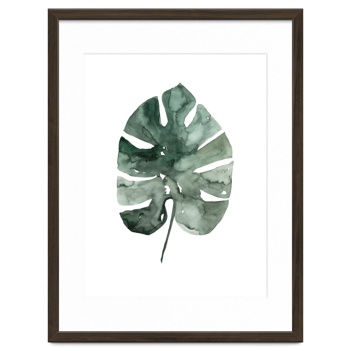 Botanical Illustration Monstera Leaf