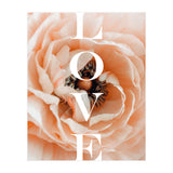 Love (Print Only) thumbnail