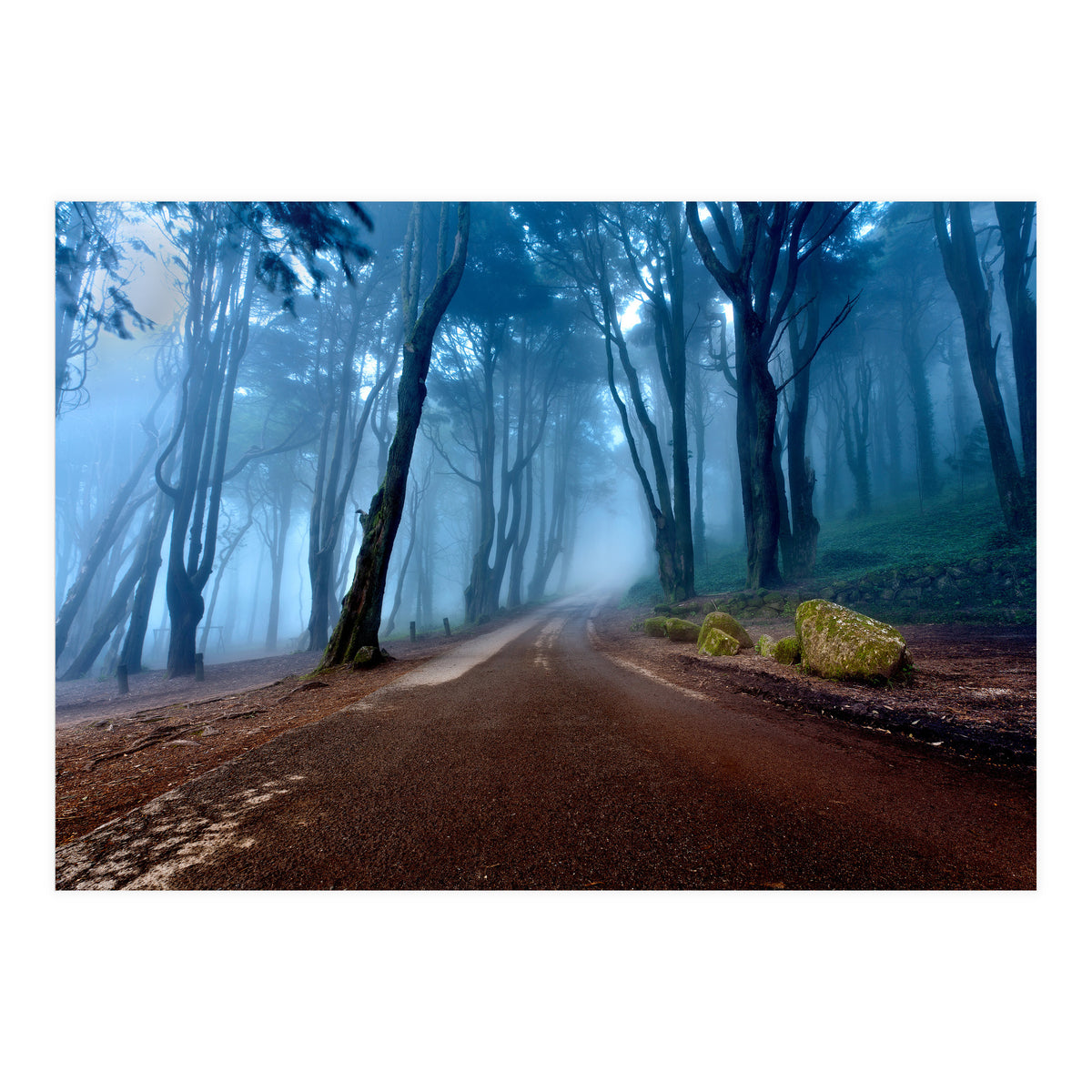 The Road Of Kings (Print Only)