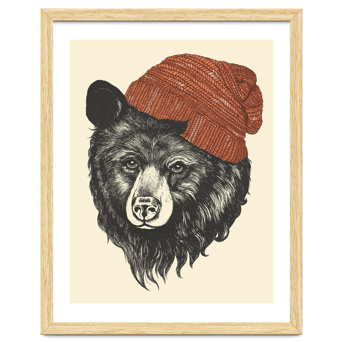 Zissou The Bear