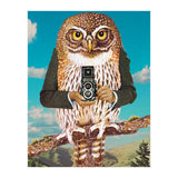 Just Say Cheese (Print Only) thumbnail
