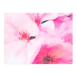 Kairos (Print Only) thumbnail