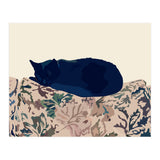 Kitty (Print Only) thumbnail
