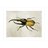 83 (Print Only) thumbnail