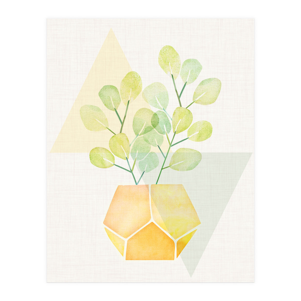 Geometry and House Plant (Print Only)