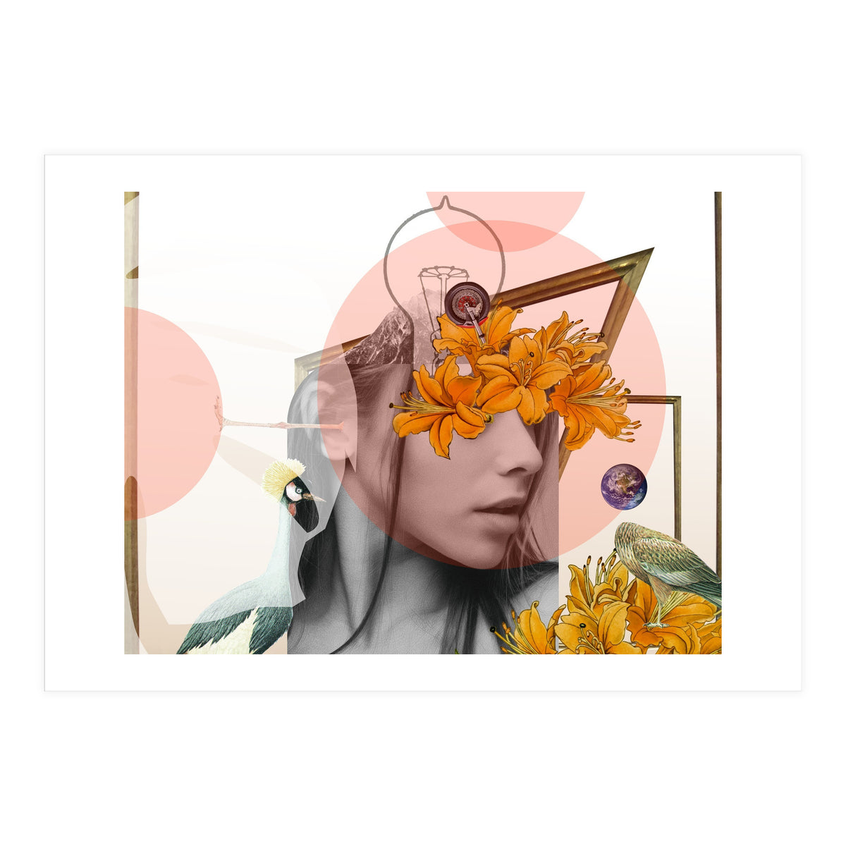 Dreamland Division · D (Print Only)