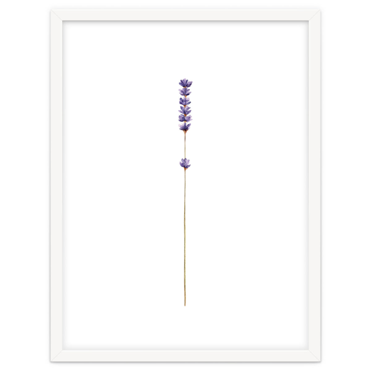 Lavender twig