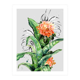 Collage of florid nature  (Print Only) thumbnail