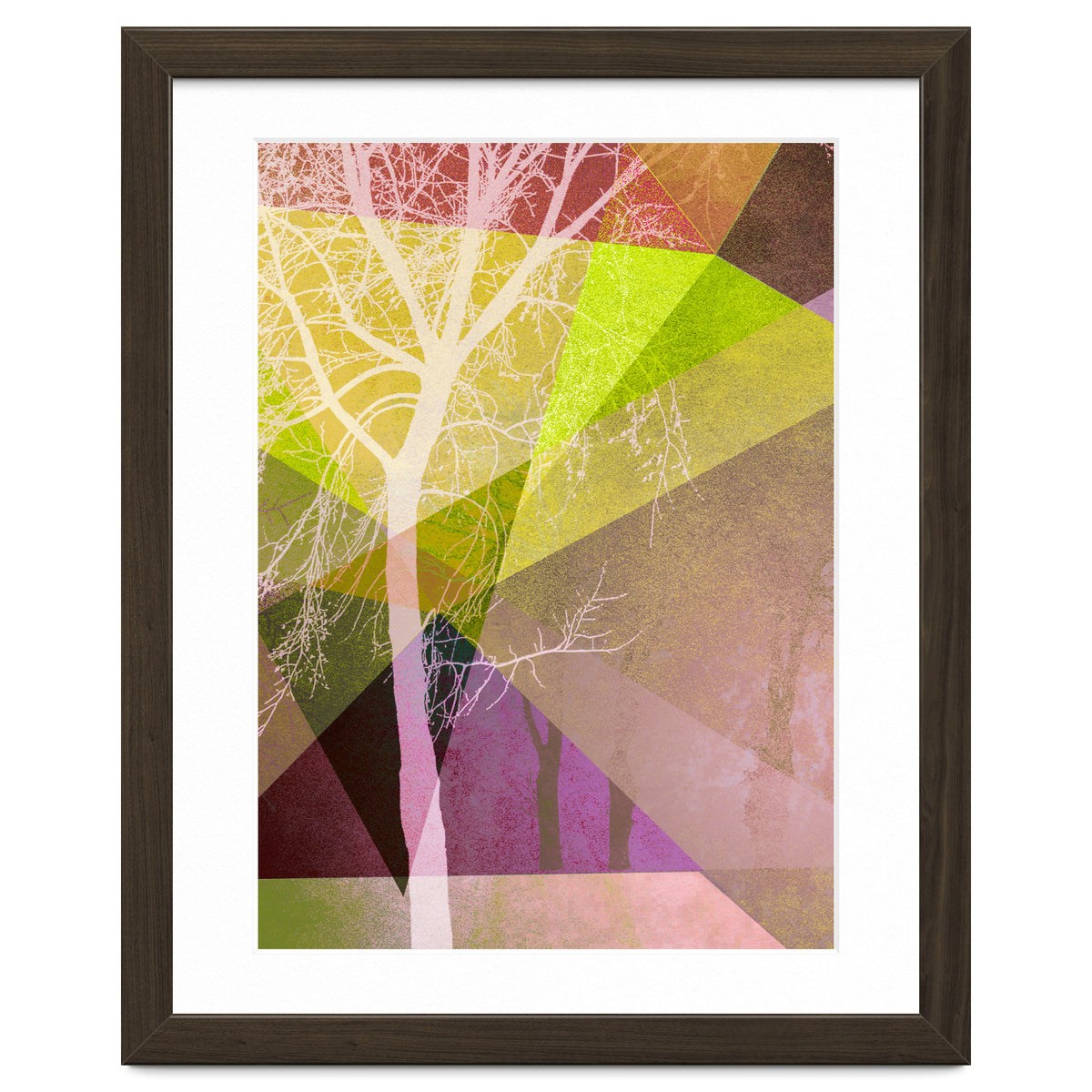 P22 Trees And Triangles