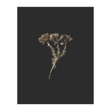 Gold Burst Botanicals - Square (Print Only) thumbnail