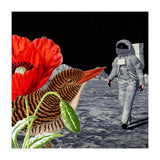 Bird On The Moon  (Print Only) thumbnail