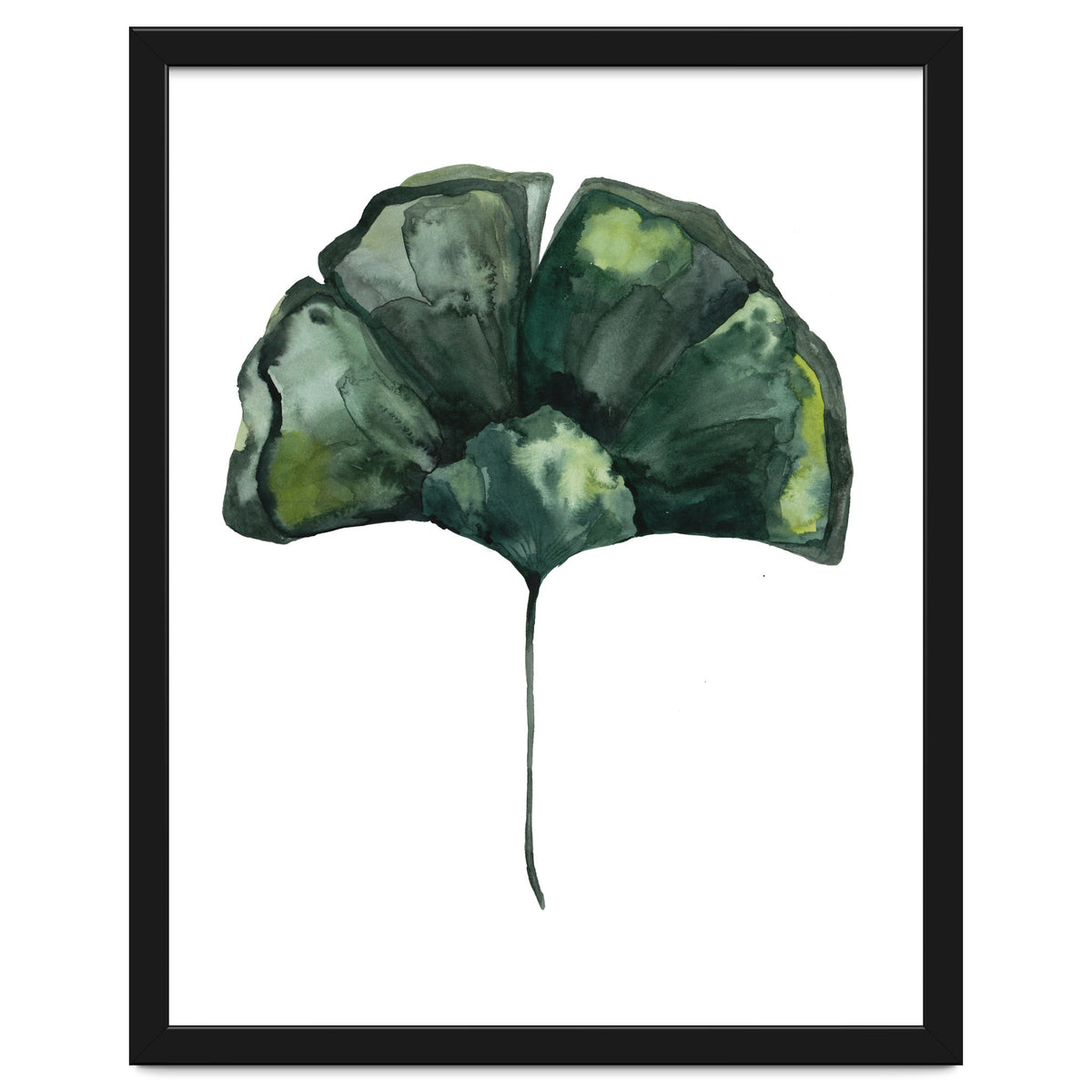 Botanical Illustration Ginko