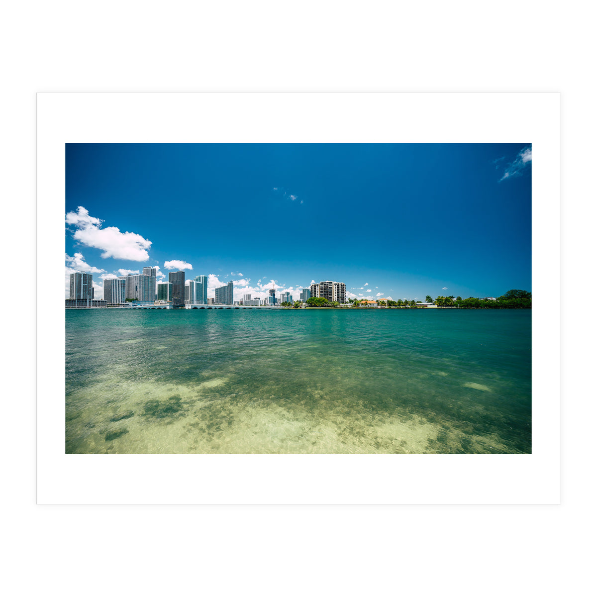 305 (Print Only)