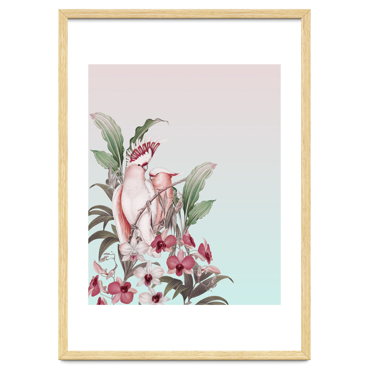 Pastel Cockatoos Paradise