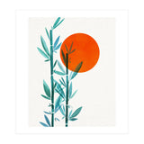 Bamboo Sunset (Print Only) thumbnail