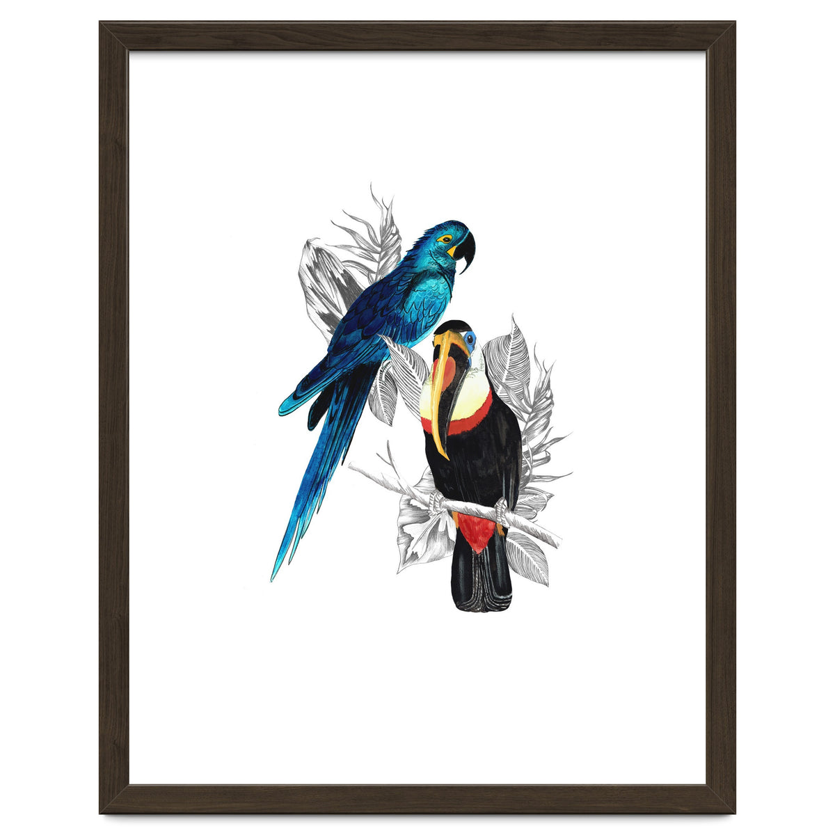 The Toucan and the Parrot