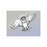 Attacking barn owl (Print Only) thumbnail
