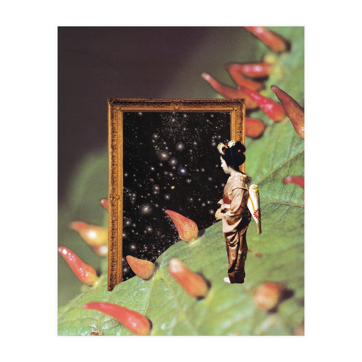 Cosmology (Print Only)