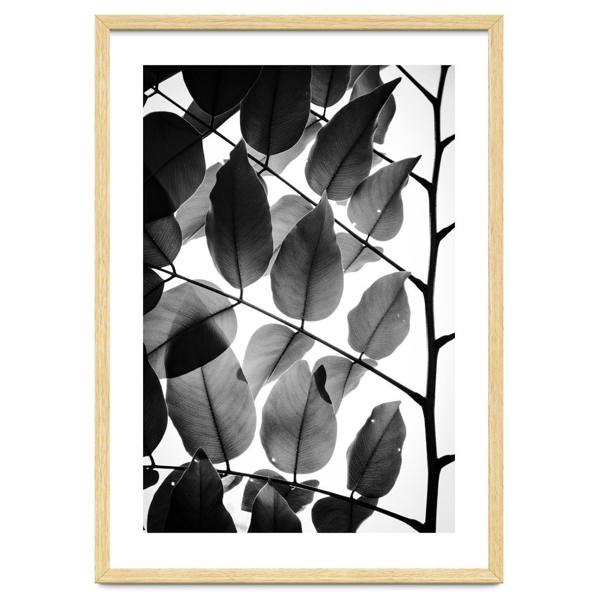 Branches and Leaves II