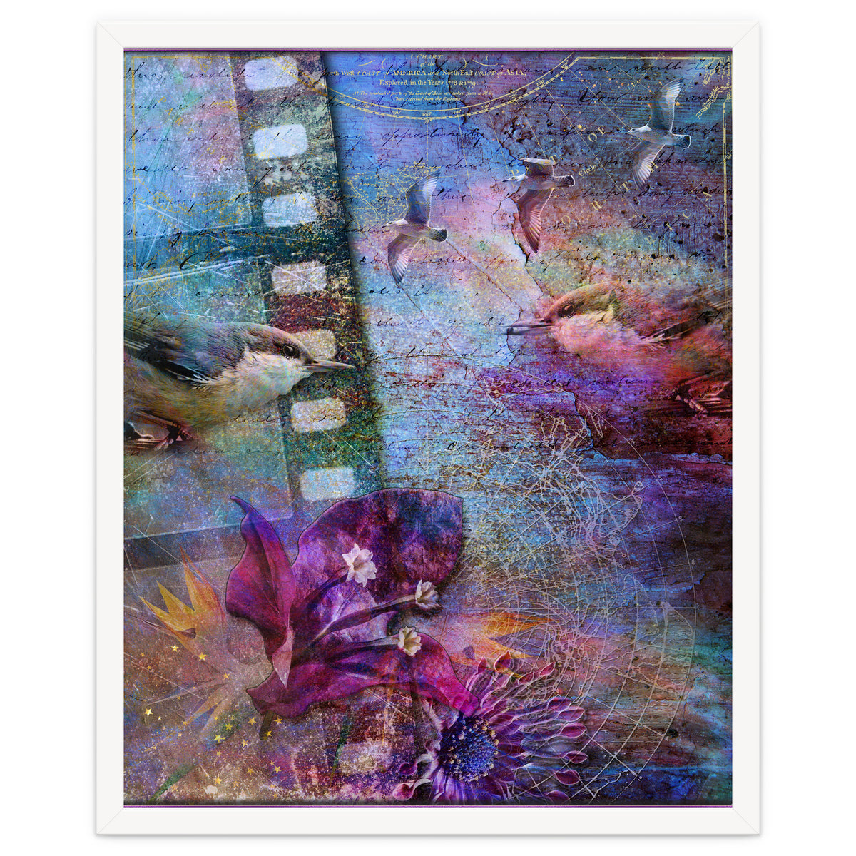 Watching the Wild World