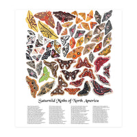 Saturniid Moths of North America (Print Only)