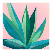 Southwest Agave (Print Only)