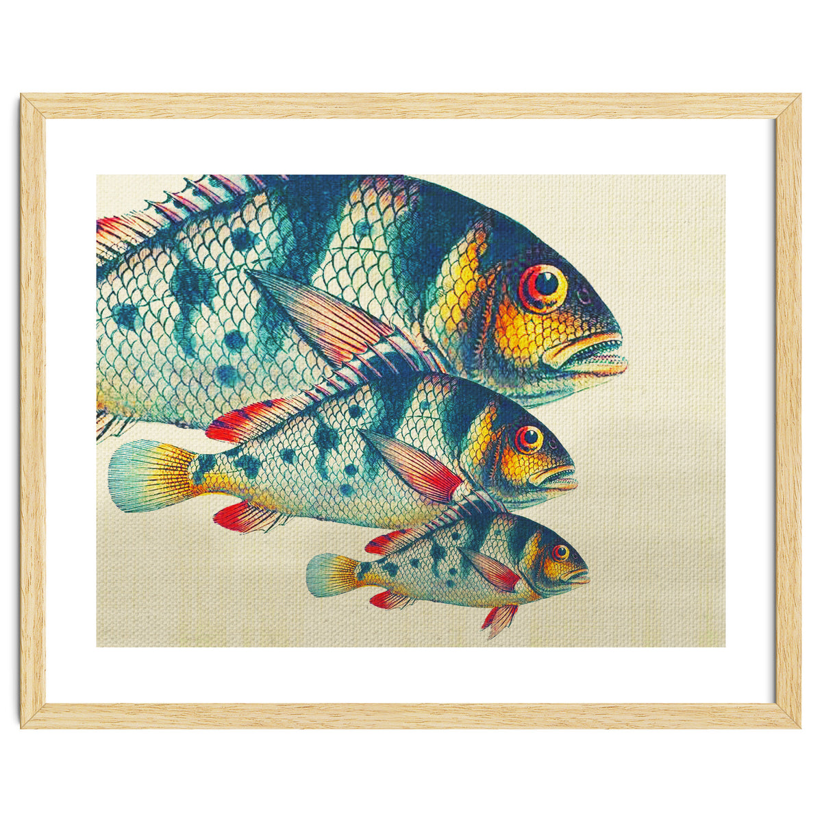 Fish Classic Designs 3