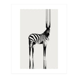 Zebra  (Print Only) thumbnail